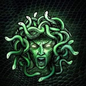 Meet your Posher, Zak